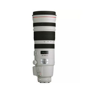 Canon EF 200-400mm F/4L IS USM with Ext1.2x