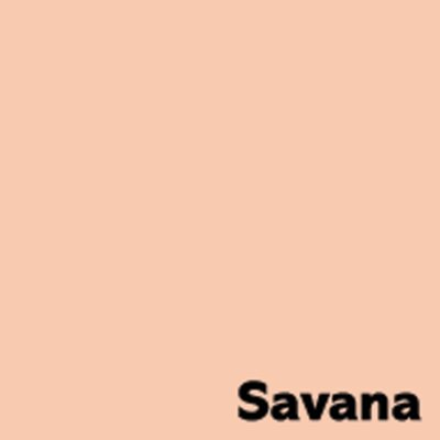 Image Coloraction papīrs 80 gm2 A4 Savana/Pale Salmon 500lpp